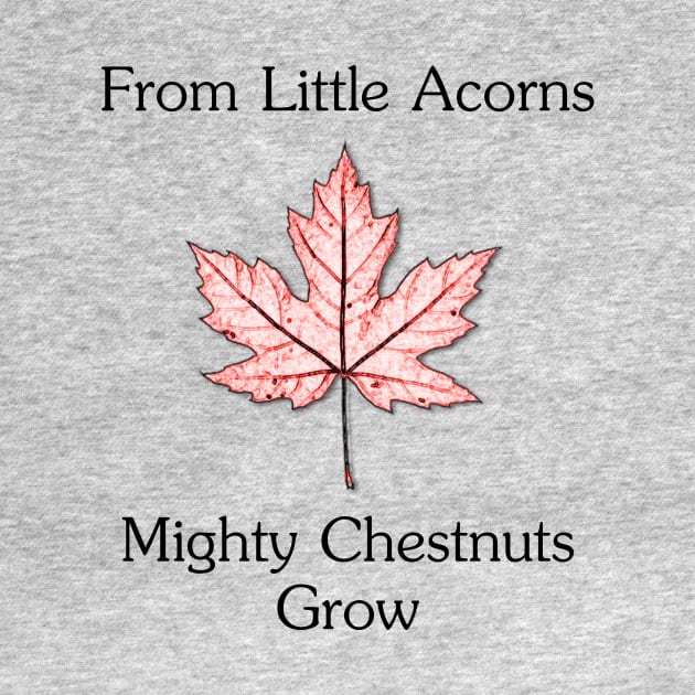 From Little Acorns Three by RFMDesigns